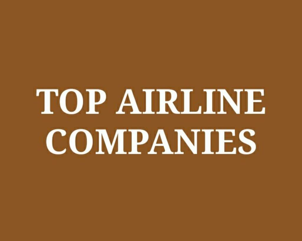 Top 5 Airline Companies [Flight Brands] in India 2022