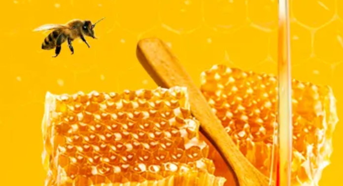 Best Top Pure Raw Honey brand in India