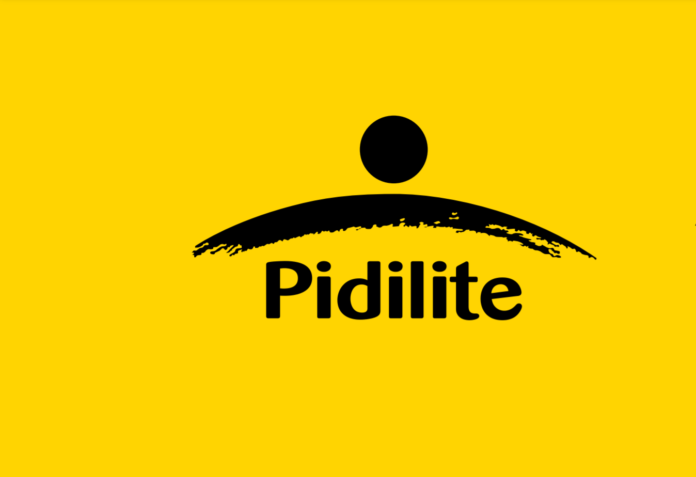 Pidilite Industries Ltd Products Subsidiaries